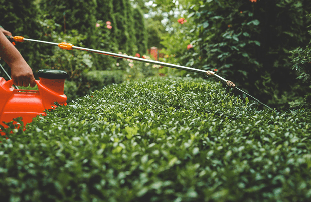 مكافحة الحشرات والافات البيئية