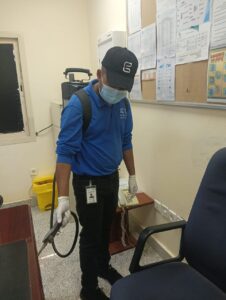 المتألق البيئي لتنسيق الحدائق (18)