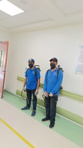 المتألق البيئي لتنسيق الحدائق (19)