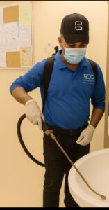 المتألق البيئي لتنسيق الحدائق (21)