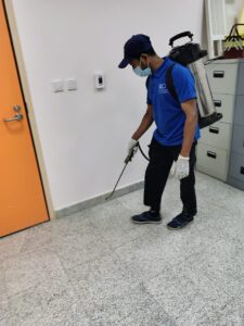 المتألق البيئي لتنسيق الحدائق (23)