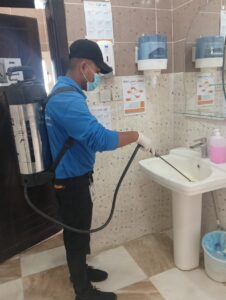 المتألق البيئي لتنسيق الحدائق (24)